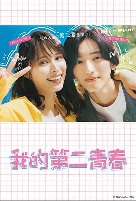 大连网站优化有哪些公司